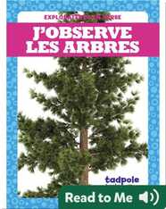 J’observe les arbres