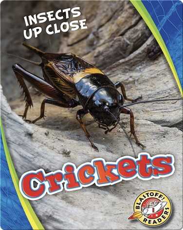 Crickets book