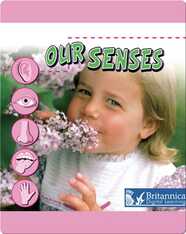 Our Senses