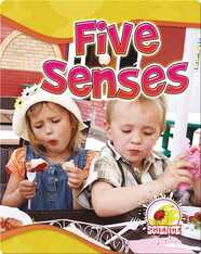 Five Senses