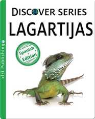Lagartijas