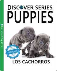 Puppies / Los cachorros
