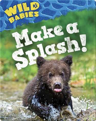 Make a Splash! book