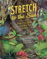 Stretch to the Sun
