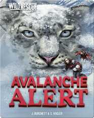 Avalanche Alert
