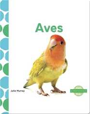 Aves