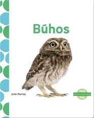 Búhos