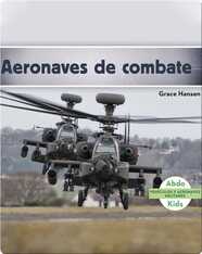 Aeronaves de combate