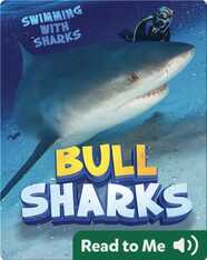 Bull Sharks