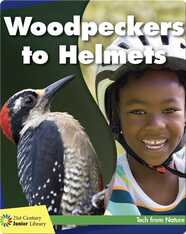 Woodpeckers to Helmets