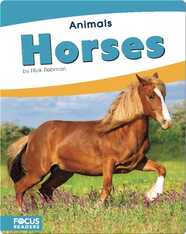Animals: Horses
