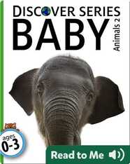 Baby Animals 2