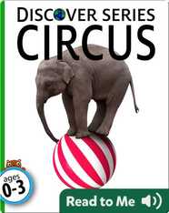 Circus