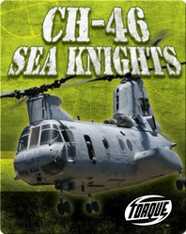 CH-46 Sea Knights