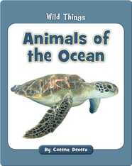 Animals of the Ocean