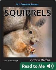 My Favorite Animal: Squirrels