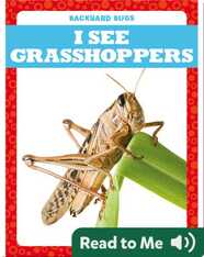 I See Grasshoppers