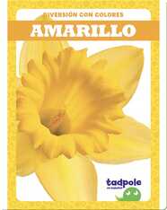 Diversión con colores: Amarillo