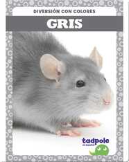 Diversión con colores: Gris