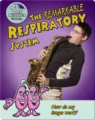 The Remarkable Respiratory System