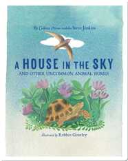 A House in the Sky