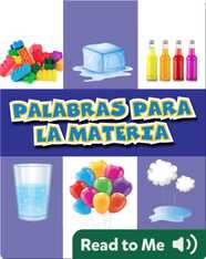 Palabras de la materia