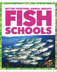 Fish Schools