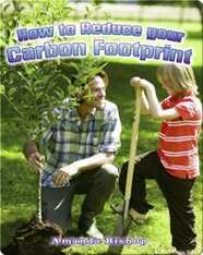 How to Reduce your Carbon Footprint