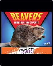 Beavers: Construction Experts