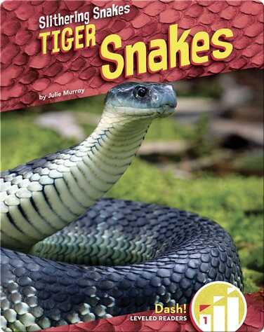 Tiger Snakes book