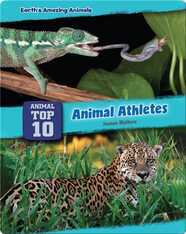 Top Ten Animal Athletes