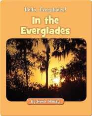 Hello, Everglades!: In the Everglades