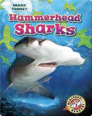 Shark Frenzy: Hammerhead Sharks