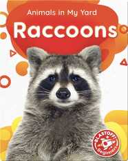 Animals in My Yard: Raccoons