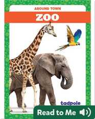 Around Town: Zoo