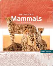 The Evolution of Mammals