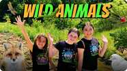 FUN Animal Adventure for Kids! (EXPLORING for WILD Animals!)