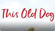 This Old Dog