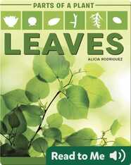 Parts of a Plant: Leaves