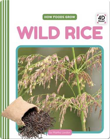 How Foods Grow: Wild Rice book
