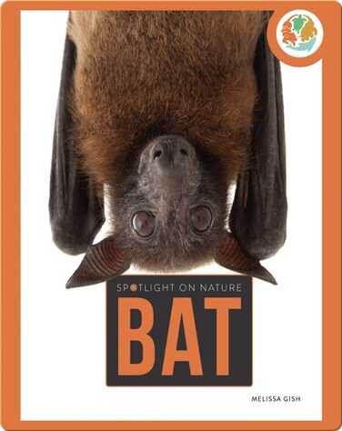 Spotlight on Nature: Bat book