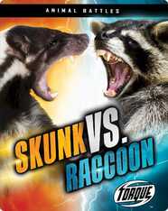Animal Battles: Skunk vs. Raccoon