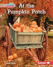 At the Pumpkin Patch
