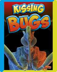 Kissing Bugs