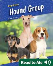 Hound Group