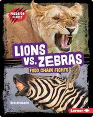 Lions vs. Zebras: Food Chain Fights