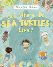 But Where Do Sea Turtles Live?