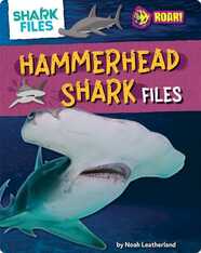 Hammerhead Shark