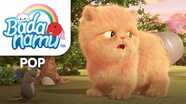 Short Vowel Song