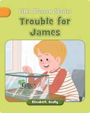 Trouble for James